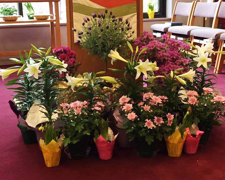 Flower Guild_Please Use