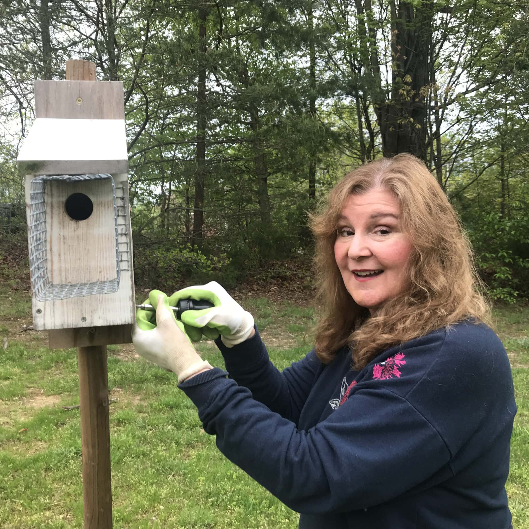 Bluebird box